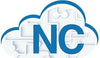 Numerical Cloud - Monthly Plan (1-Person)